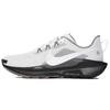 Pegasus Trail 5 'Vast Grey Black Gum' Men's IB7667-001