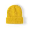 Knitted hat men's warm double-layer versatile pullover wool hat solid color autumn and winter European and American brimless cold hat women's curling