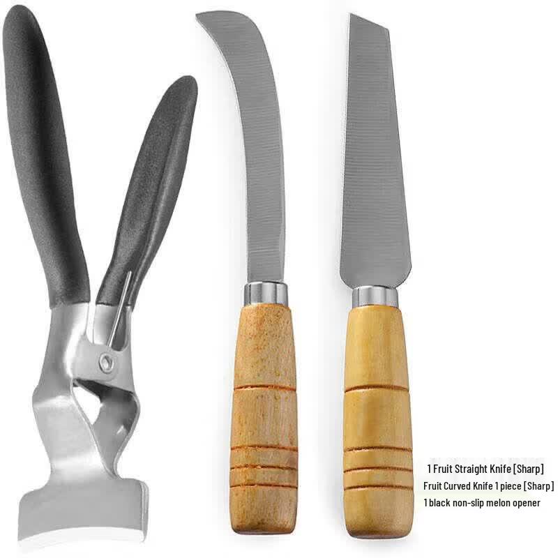 Stainless Steel Watermelon Slicer