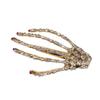 Retro Skeleton Hand Hair Clip Skull Skeleton Hand Headwear Bone Claw Hairpin  Hair Accessories