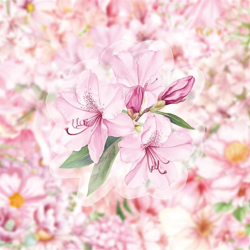 50PCS Cute Pink Flower PET Sticky Sticker Aesthetic Tear Open DIY Decoration Scrapbooking Stationery Supplies
