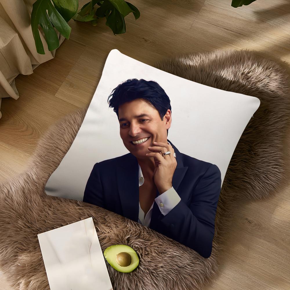 Singer C-Chayanne P-Puerto cushion cover Living Room Accent Couch Back Support Square Lounge Restful Nap Companion Pillow Case