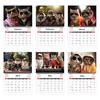 2026 Calendar Jan. 2026 - Dec. 2026 12 Month Calendar with Funny Cat Memes Pics Spiral Bound Wall Calendar for Home Office