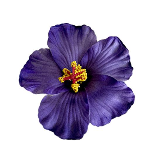 Hairpin Soft Strong Texture Lightweight Decorative Flower Hair Clip Realistic Flower Design Holiday Leisure Hair Pin