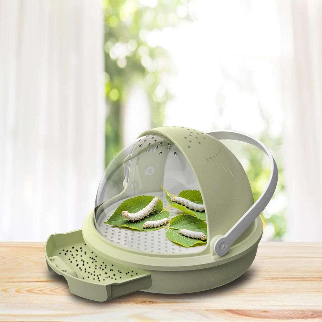 Zijworm Observatiebox Reptiel Voerbak Zijworm Groei Educatief voor Zijwormen Schildpadden Zijworm Uitbroedbak