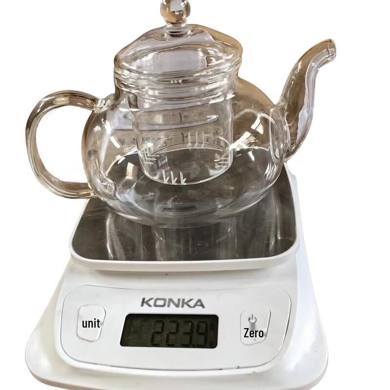 Heat-Resistant Glass Teapot with Infuser