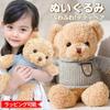 Fluffy and cute stuffed bear with perfect for and clothes, 35cm, beige, kids, girls, birthdays.