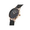 [Official Shop/2-Year Warranty/Authentic Import] Daniel Wellington DW Women's Petite Pressed Ashfield 24mm Watch in Black. Stylish, Popular, Cute Mesh