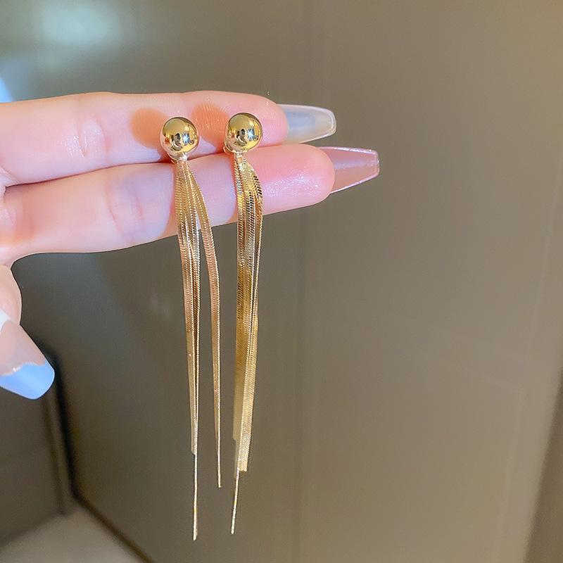 Stylish Silver Needle Earrings with Long Tassels