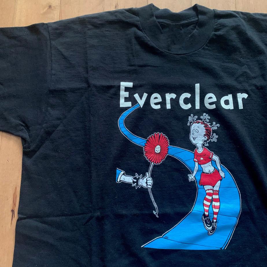 Vtg Everclear Band Music Lover Heavy Cotton Black All Size Unisex Shirt DI068 Unisex T-Shirt XXXXL