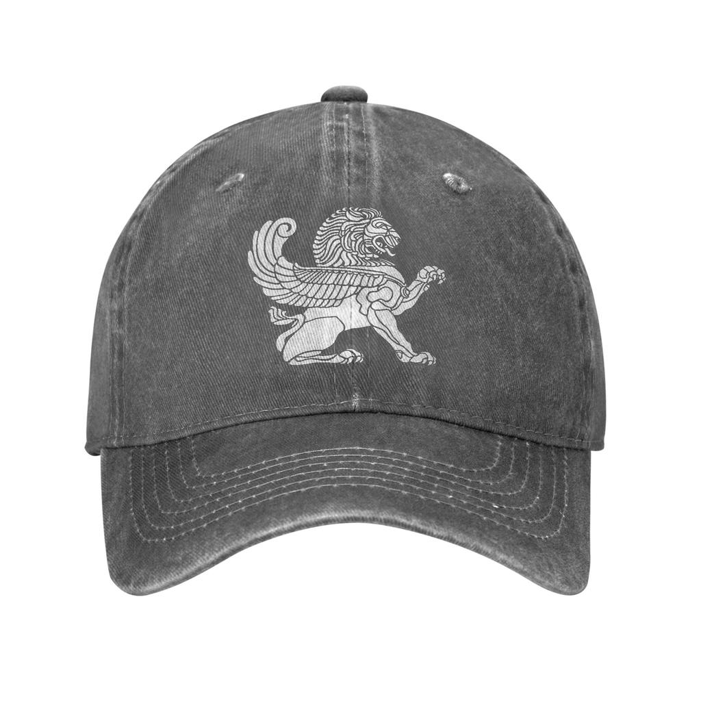 Persian Lion Iranian Baseball Cap Sun Outdoor Gym Sun-Proof Washed Trucker Hat Women Unisex Casual Design Snapback Cap
