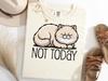 Not Today Persian Cat Shirt, Fluffy Cat TShirt, Lazy Cat Tee, Sleeping Persian Shirt, Anti Social Mood Shirt, Cute Cat Lover Gift