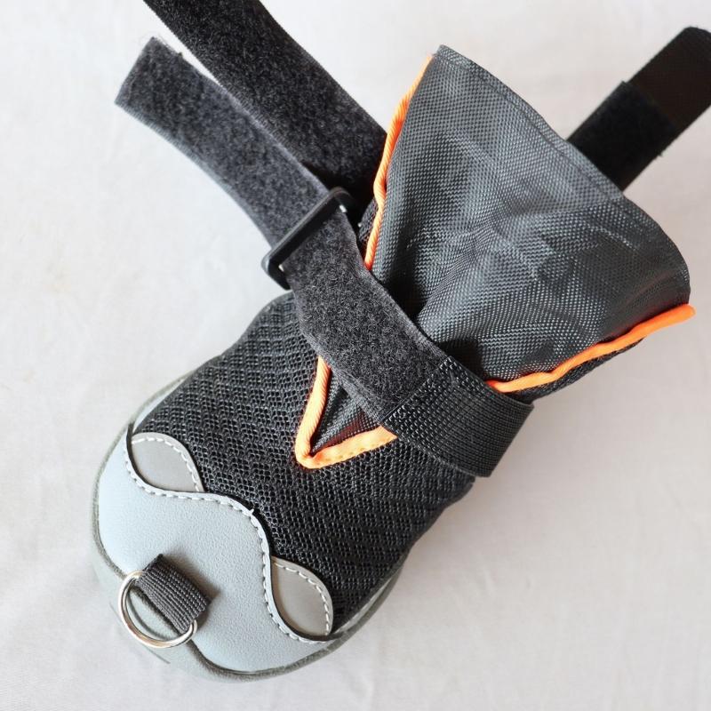 Fashion Dog Shoe Recovery Boot Waterproof Pet Shoe Snow Rain Dog Recovery Boot For Daily Walks