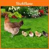 Rooster And Duck Theme Garden Yard Art Pvc Outdoor Decor With Printed Design For Lawn And Patio Use