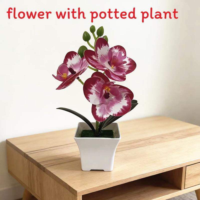 Butterfly Orchid Artificial Plant With Plastic Material For Home Decor And Photography Props