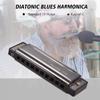 Key of C Diatonic Harmonica Mouthorgan with ABS Reeds Mirror Surface Design 10 Holes Blues Harmonica Perfect for