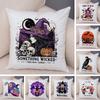Witch Vibes Pillowcase Double Print Spooky Cats Cushion Cover Soft Plush Magic Potions Pillowe Case for Sofa Home Car