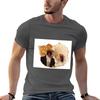 Sanditon wedding TShirt Casual Daily Wear Short Sleeve Top