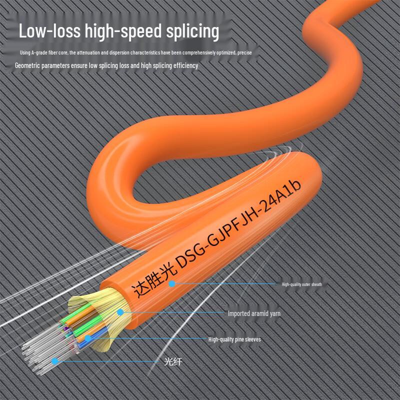 Dasheng Light Indoor Multimode Fiber Patch Cable