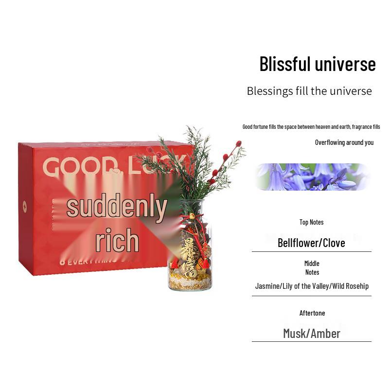 Prosperity Bottle Aroma Diffuser Gift Set