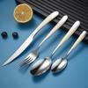 European Stainless Steel Four-Piece Cutlery Set: Star Diamond Steak Knife, Fork, and Coffee Spoon