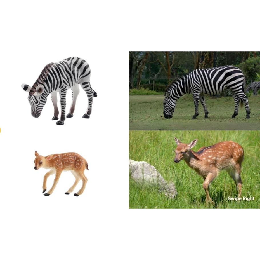 12Pcs Simulation Wildlife Animals Model Toy Mini Figures Dolls Action Figurines Toys for Children Set Gift Cake Decoration
