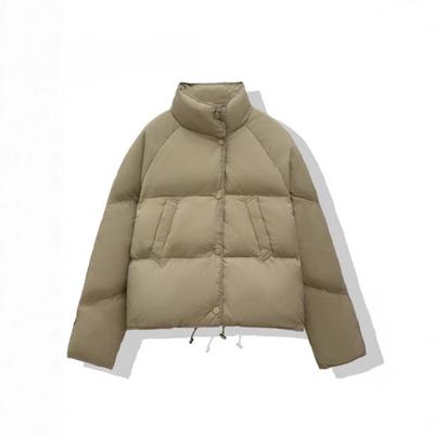 Down Jacket Women's New Small Design Sense White Duck Down Bread Jacket Milk Blue Short Jacket