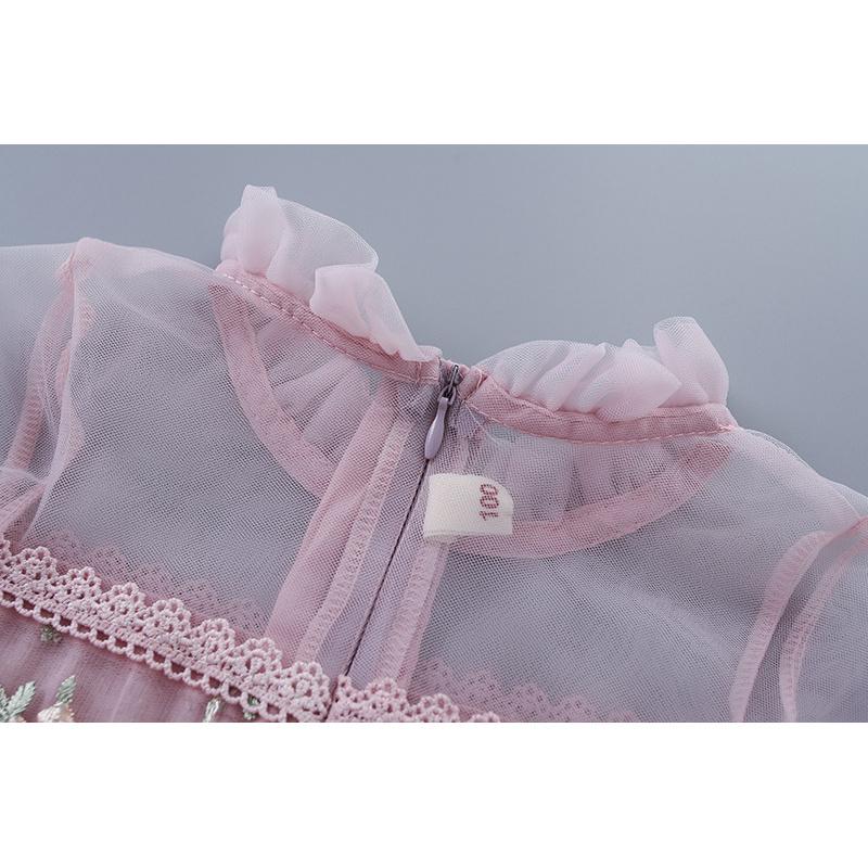 Spring and Autumn New Children's Dress with Lace Trim, Mesh, Embroidery, Puff Sleeves, Long Sleeve Girls' Dress, Korean Style