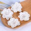 5Pcs Acrylic Garment Decoration Flower Multi-layer Design Multi-layer Flower Craft  Hair Clip
