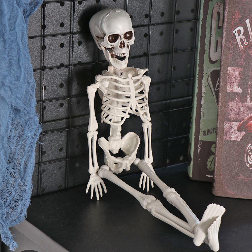 House Decoration Photography Props Bone Model Pumpkin Skull Body Figurine Halloween Human Skeleton