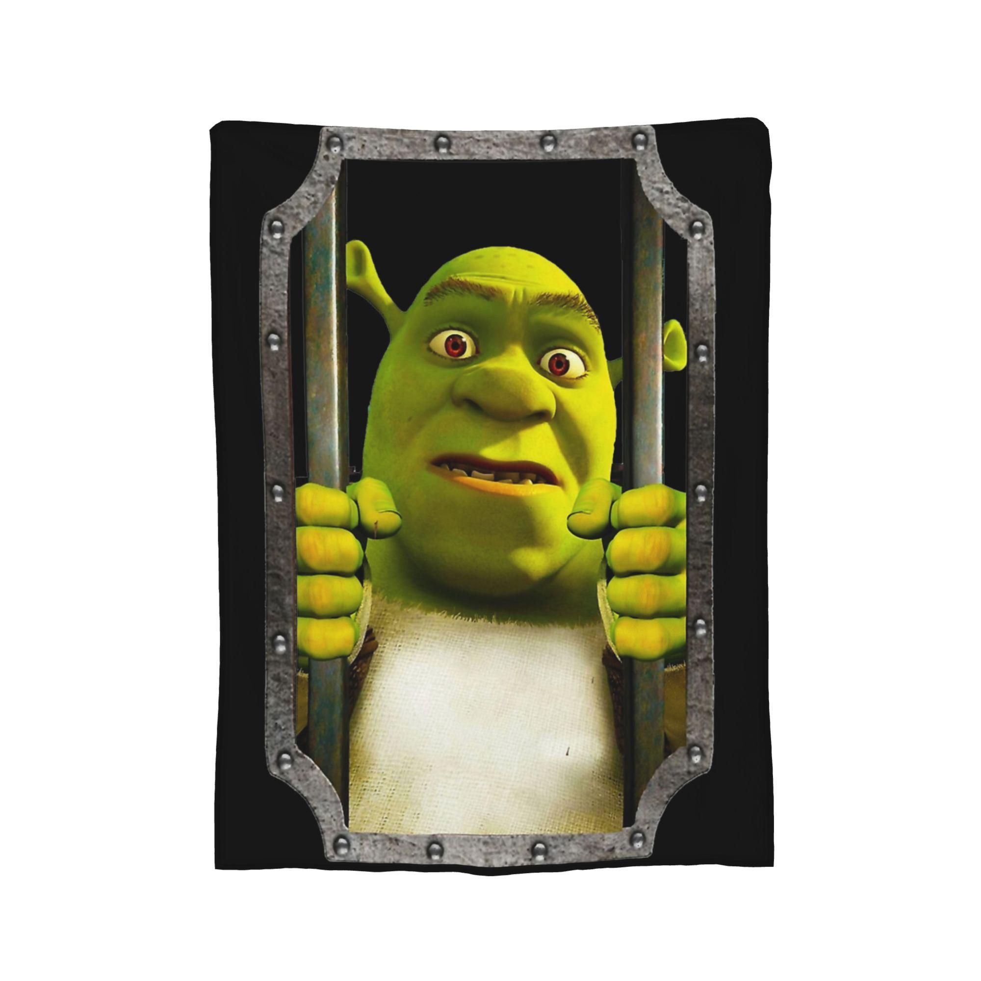 

Shreks Pun Funny Memes Blankets Flannel Winter Breathable Warm Throw Blankets for Bed Bedroom Bedspread 30x40in