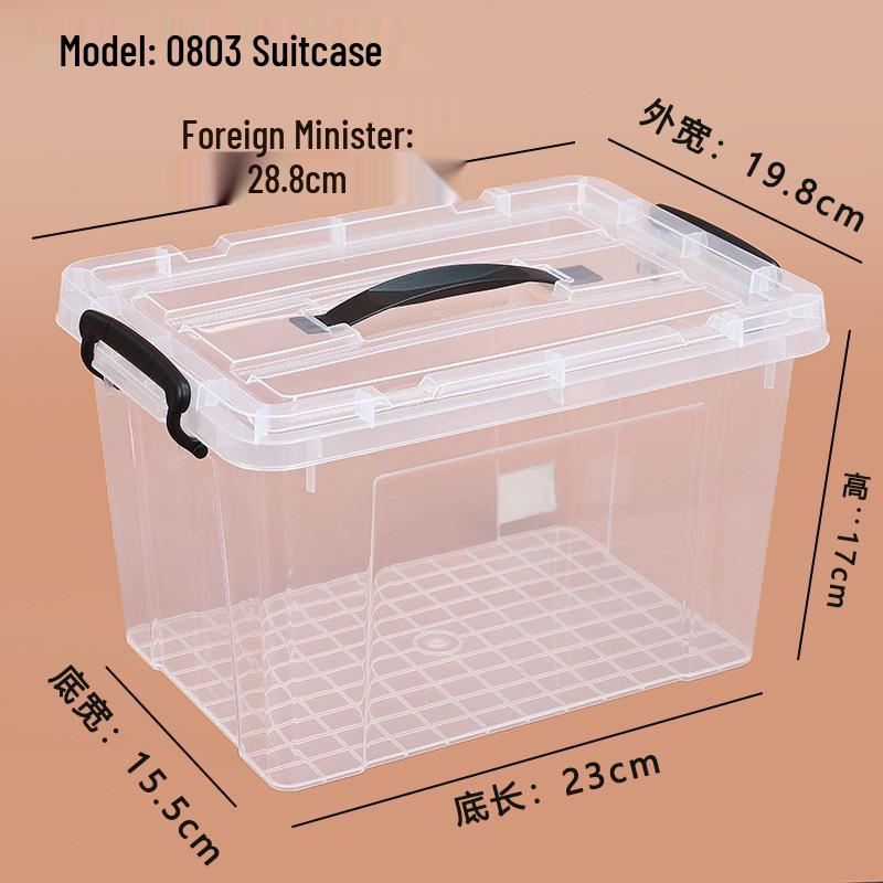 Large Transparent Handheld Food-Grade Storage Box