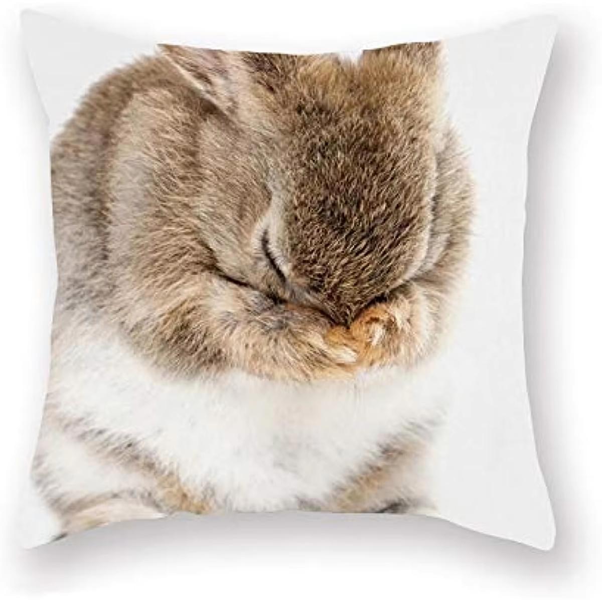 

Double Sided Gray Rabbit Pillow Cover Minimalist Theme Party Decoration for Spring Events and Cozy Gatherings 45cmx45cm
