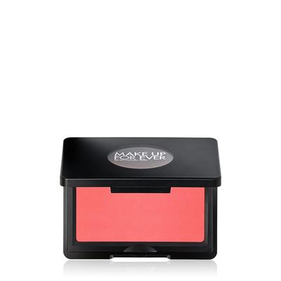[NEW] Artist Blush 4g