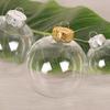 5pcs Perspective Christmas Tree Ball Paintable Christmas Ball with Bottle Cap Minimalist Christmas Clear Ball Home Decoration Navidad