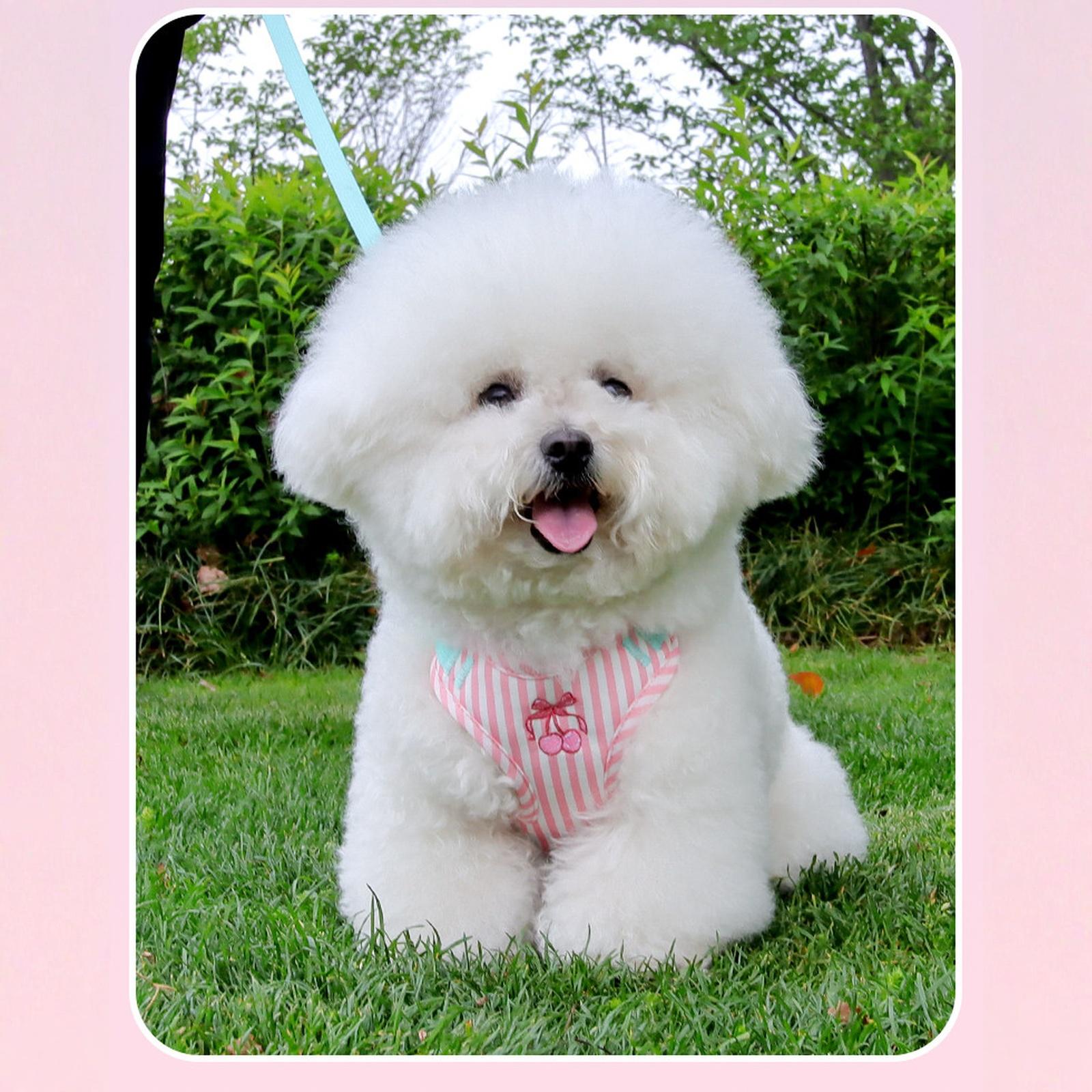 

wisedog Dog Vest with Leash - Escape-Proof Cute for Small Medium Dogs XS рожевий