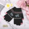 Double Gloves Deer Piled Thickened Christmas Cold Warm Knitted Wool Winter Outdoor Women's Gloves
