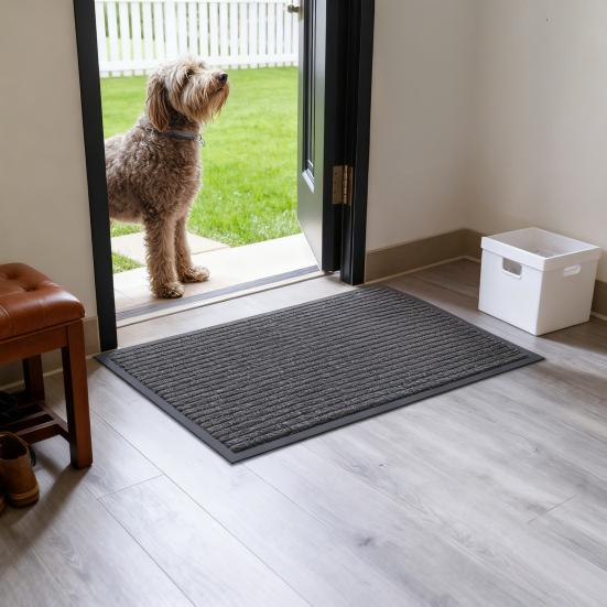 Floor Mat Anti-Slip Design Ultra-Thin Profile Door Mat Moisture-absorbing Entry Rug Sand-proof Entrance Mat
