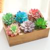 Artificial Succulent Artificial Decor PVC Realistic