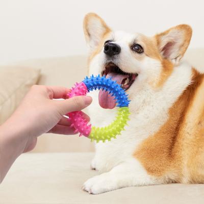 Pet Toys That Won't Break and Are Tough To Chew, Tpr Dog Toys for Self-entertainment and Boredom, Three-color Circular Dog Products
