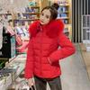 Autumn and Winter Short Fashion Women's Cotton Jacket Women's Korean Version Slim Fit Down Cotton Jacket Cotton Jacket Cotton Coats