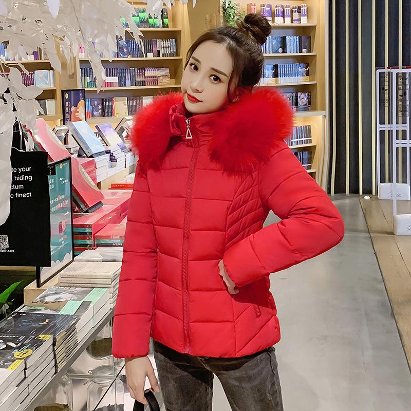 Autumn and Winter Short Fashion Women's Cotton Jacket Women's Korean Version Slim Fit Down Cotton Jacket Cotton Jacket Cotton Coats