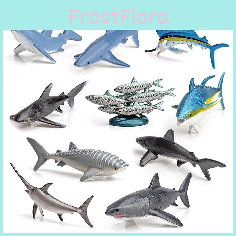 Realistic Marine Animal White Shark And Whale Model Pack With Pvc Construction For School Projects