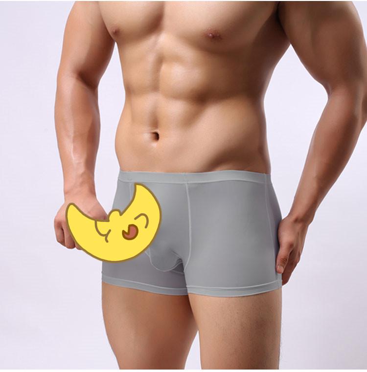Men's Transparent Ice Silk Boxer Briefs with Elephant Trunk Design, Sexy Four-Legged Underwear.
