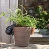Garden Gardening Snail Hanging Flower Pot Cup Decoration Animal Resin Crafts Home Decoration Ornament Outdoor
