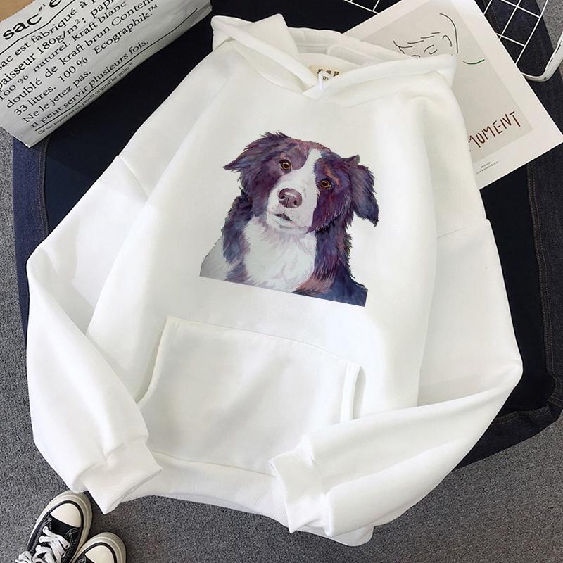 border collie clothes