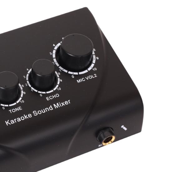 Microphone Amplifier Professional Dual Mic Input Mini Household Computer Phone Karaoke Echo Mixer