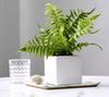 21 listů Simulované listy kapradiny Umělé rostliny Plevel Perské listy kapradiny Rostlinná stěna DIY Terénní úpravy Domácí dekorační doplňky