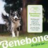 Benebone Maple Stick Chew Toy (Small)