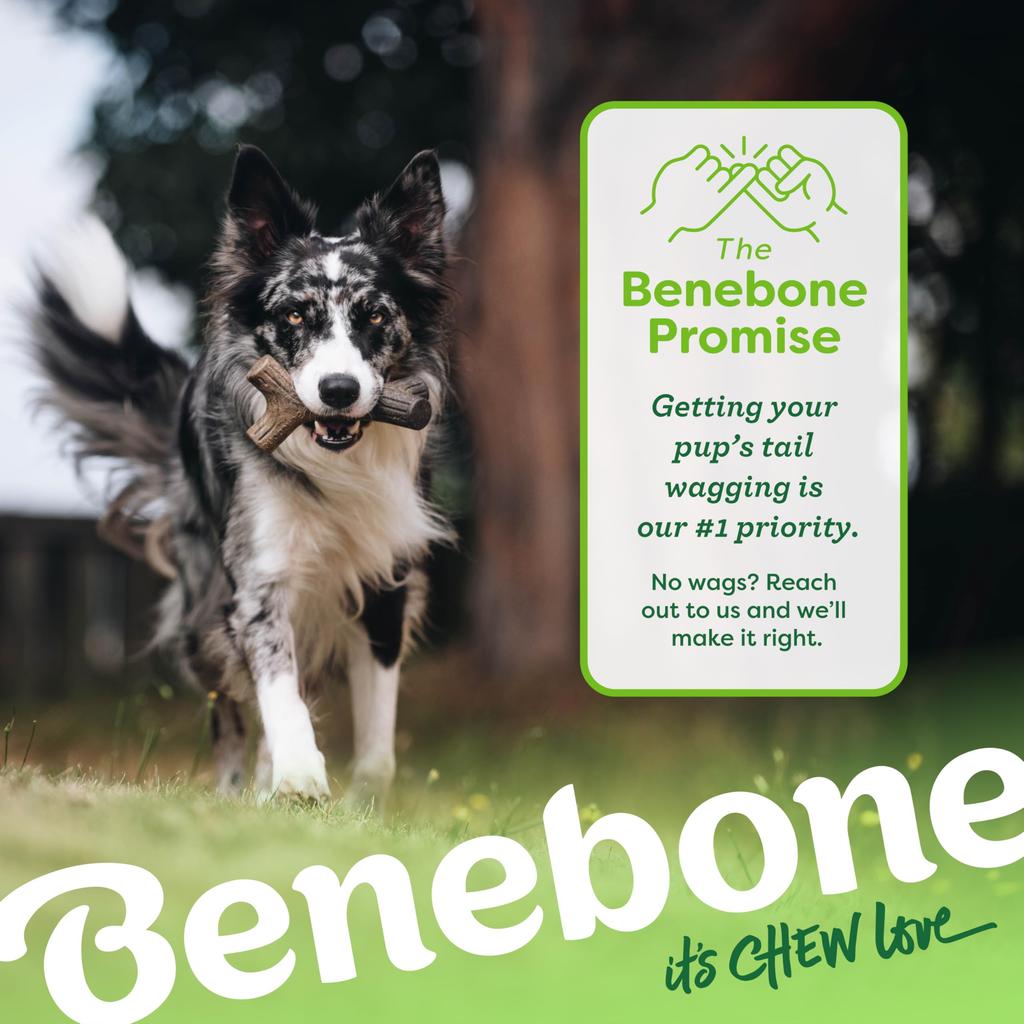 Benebone Maple Stick Chew Toy (Small)